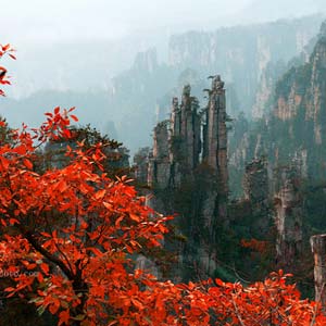 休閑自駕E線(xiàn):張家界、袁家界、天子山、寶峰湖、鳳凰古城、沱江泛舟四晚五日游